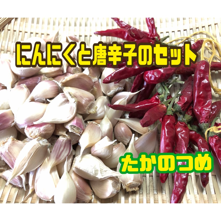 65fa19ca80278e1a00c0867b