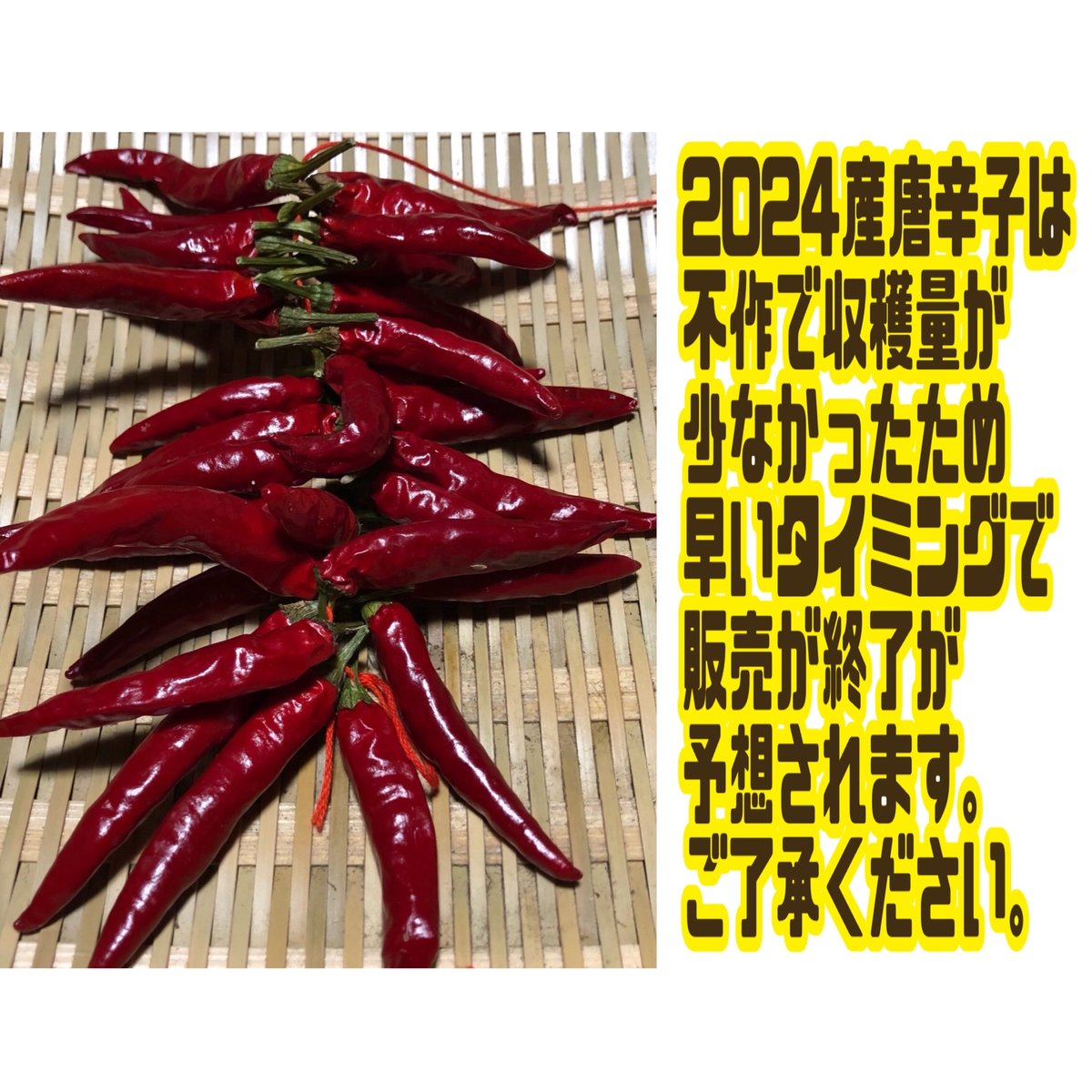 農薬・化学肥料不使用栽培】2024年産 乾燥唐辛子・たかのつめ 30本 