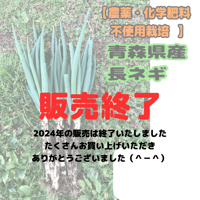 【農薬・化学肥料不使用栽培】青森県産　ネギ　2kg～