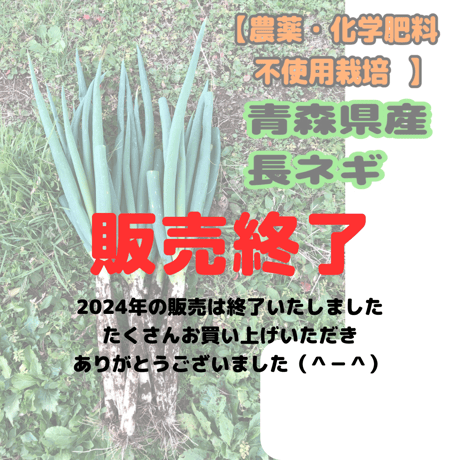 【農薬・化学肥料不使用栽培】青森県産　ネギ　2kg～