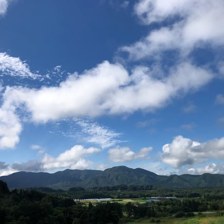 ※数量限定販売【農薬・化学肥料不使用栽培】青森県産 在来種　兼平にんにく　１００ｇ～