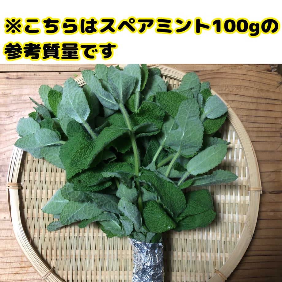 66e97c3dff9a530c233f63cb