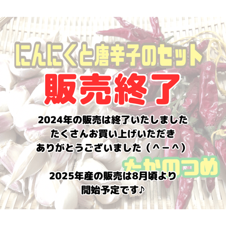 作ってみようガーリックオイルキット【農薬・化学肥料不使用栽培】野菜使用