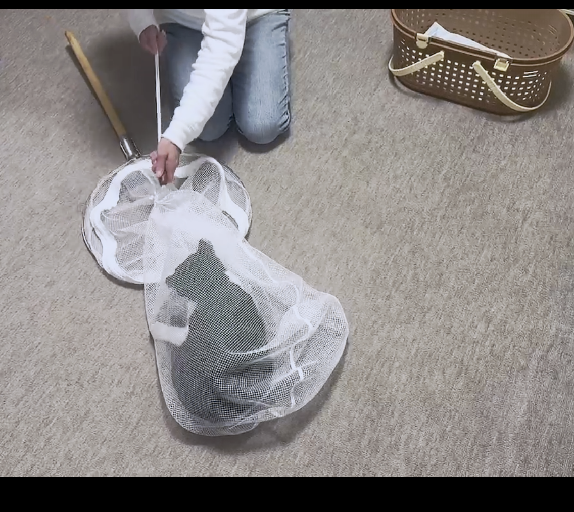 猫網（猫ちゃんを安全に保護できます他の動物にもお使いになれます