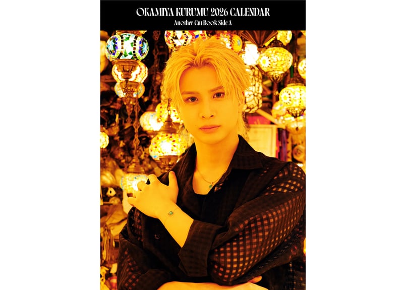 岡宮来夢 ブロマイド まとめ売り 170枚 岡宮来夢 ブロマイド まとめ