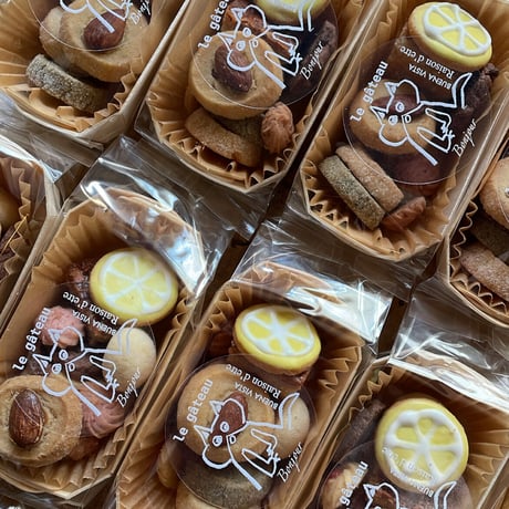 Ｙ.A:Raison D'Etre ５点セット Raison d'être ONLINE