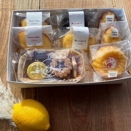 Raison d'être ONLINE