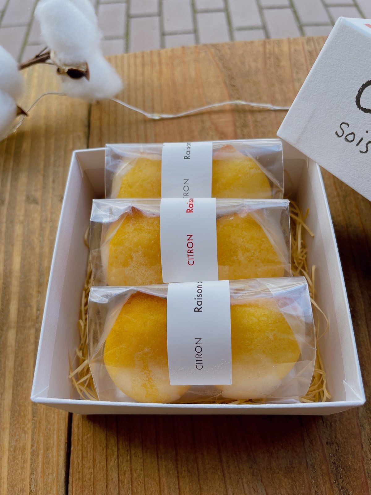 BounPrem Dr. Choice BOX 写真集とカードのみ　ブンプレ BounPrem Dr. Choice BOX 写真集とカードのみ ブンプレ BounPrem