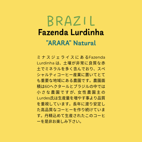 BRAZIL Fazenda Lurdinha ARARA Natural (ブラジル ルルジーニャ農園 アララ)