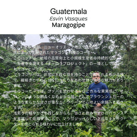 Guatemala Esvin Vasques Maragogipe(グァテマラ エスヴィンバスケス )