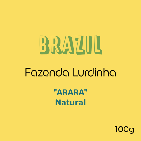 BRAZIL Fazenda Lurdinha ARARA Natural (ブラジル ルルジーニャ農園 アララ)