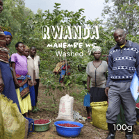 RWANDA Mahembe WS Washed ルワンダ マヘンベウォッシングステーション ウォッシュド