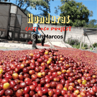 Honduras Cafe Loco Project San Marcos (ホンジュラス カフェロコプロジェクト サンマルコスミル)