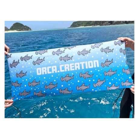 CATEGORY 魚類 | orca.creation
