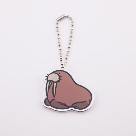 セイウチ | STORES