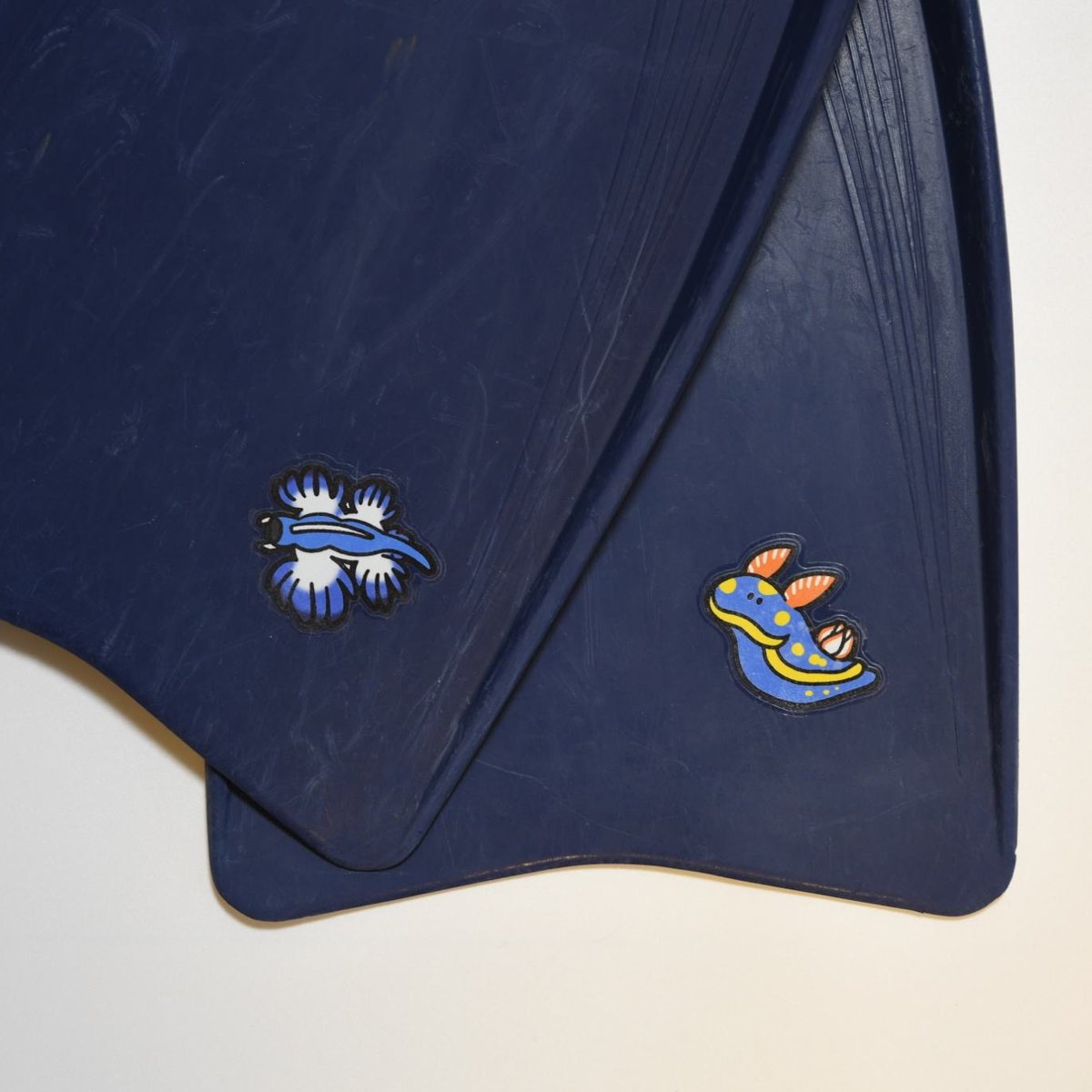 ダイビングフィンに貼れるステッカー【クサイロモウミウシ】 | orca