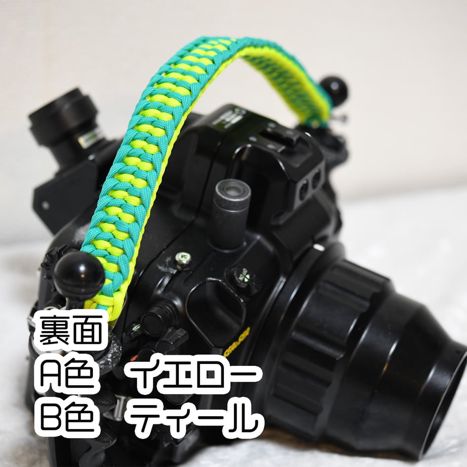 6786ecf1044f8913bbdd9358