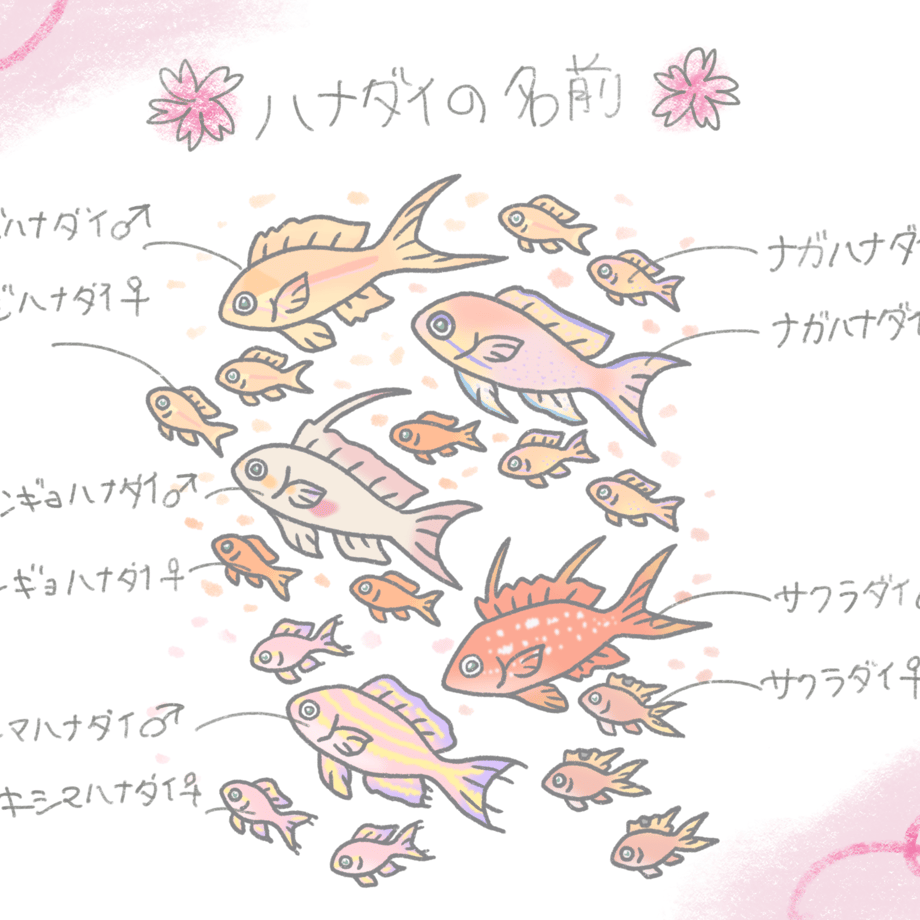 66eda477324c3619675105a0