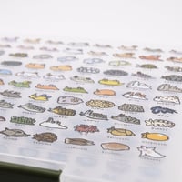 防水ステッカー【100種類のウミウシ②】