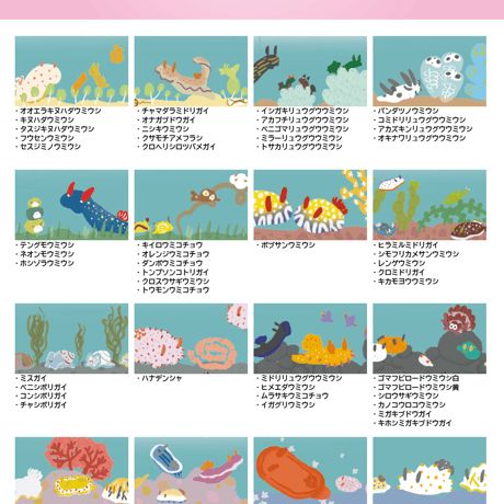 ダイビングログリーフ【ウミウシ①】