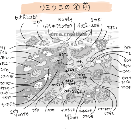 マウスパッド【ウミウシ】
