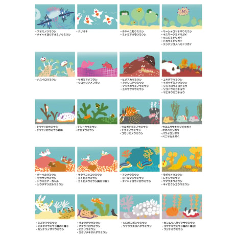 ダイビングログリーフ【ウミウシ②】