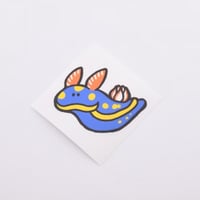 ダイビングフィンに貼れるステッカー【アオウミウシ】