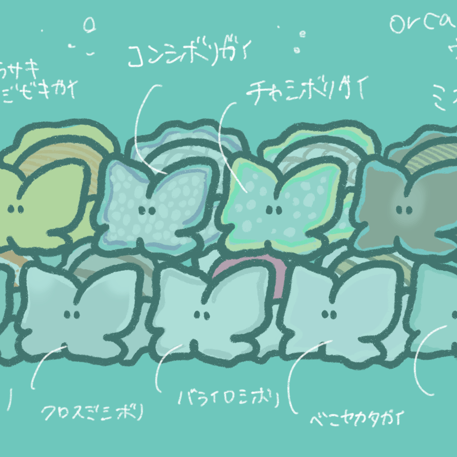 6782351cff05041fc419d07b