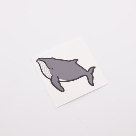ダイビングフィンに貼れるステッカー【ザトウクジラ】