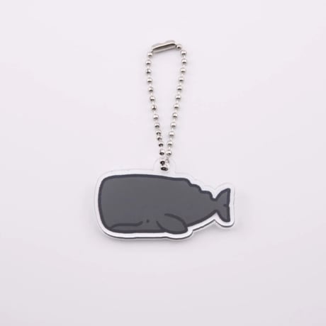 マッコウクジラ | STORES