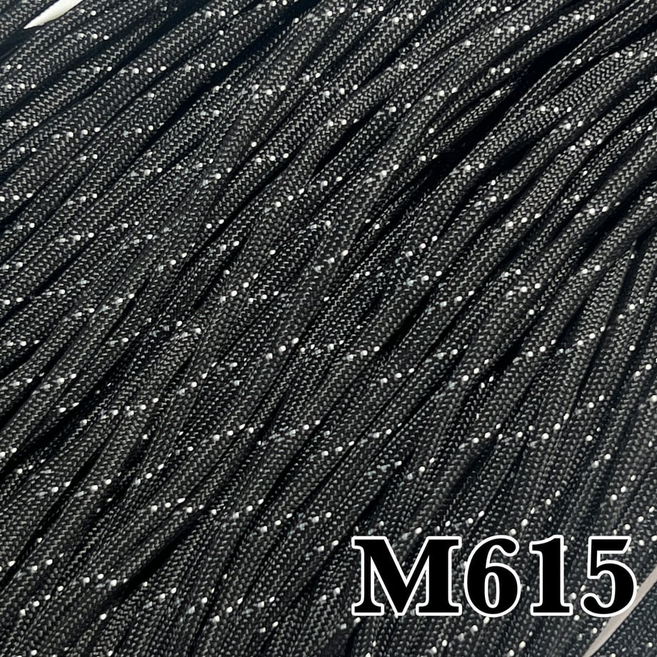 695cd10dae8e9e15ca384b6e