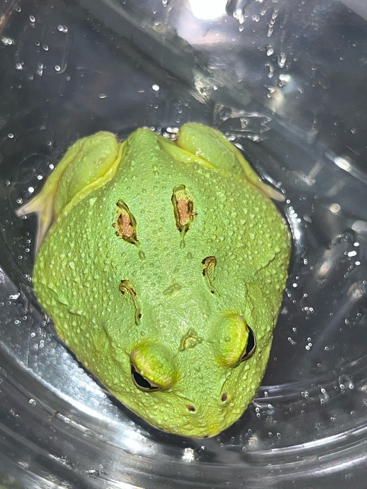 fit=scale-down,w=1200