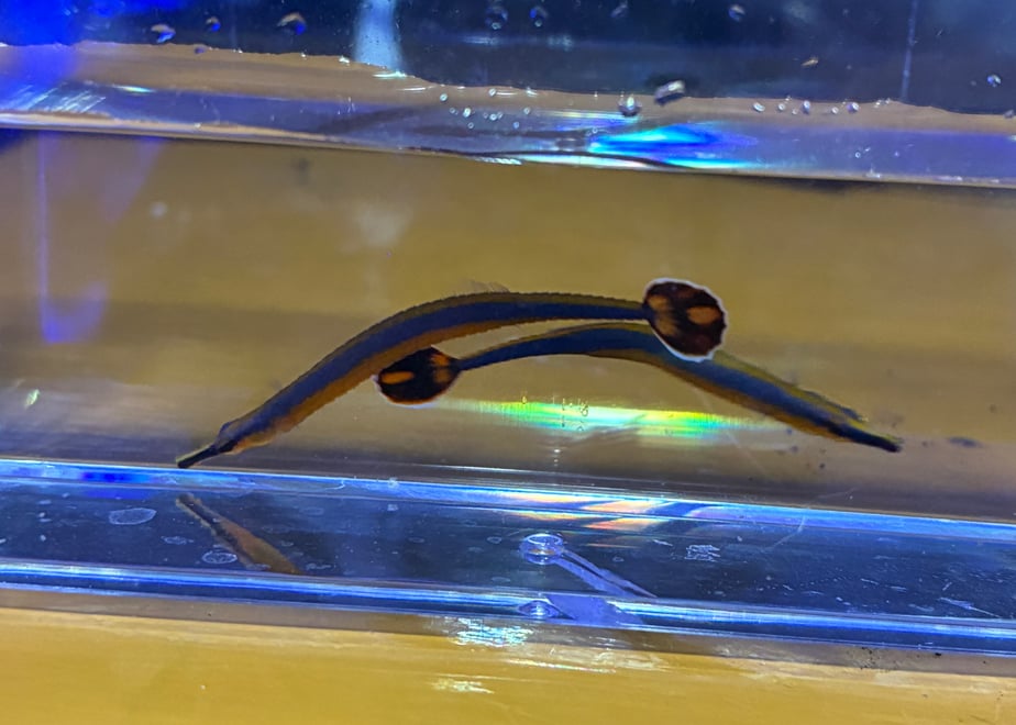 64411d11fa2afe005c523974