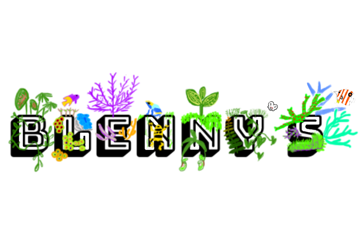 Blenny’s