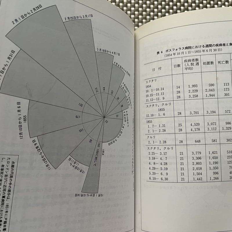 統計学者としてのナイチンゲール ○ 多尾清子 | 書肆 小夜啼鳥と