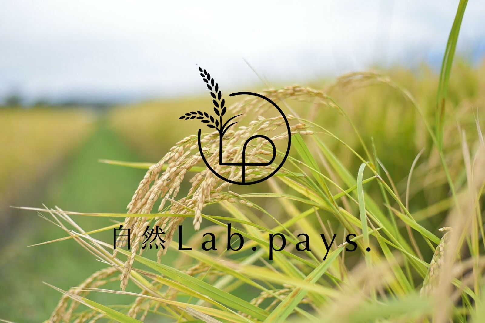 自然Lab.pays.