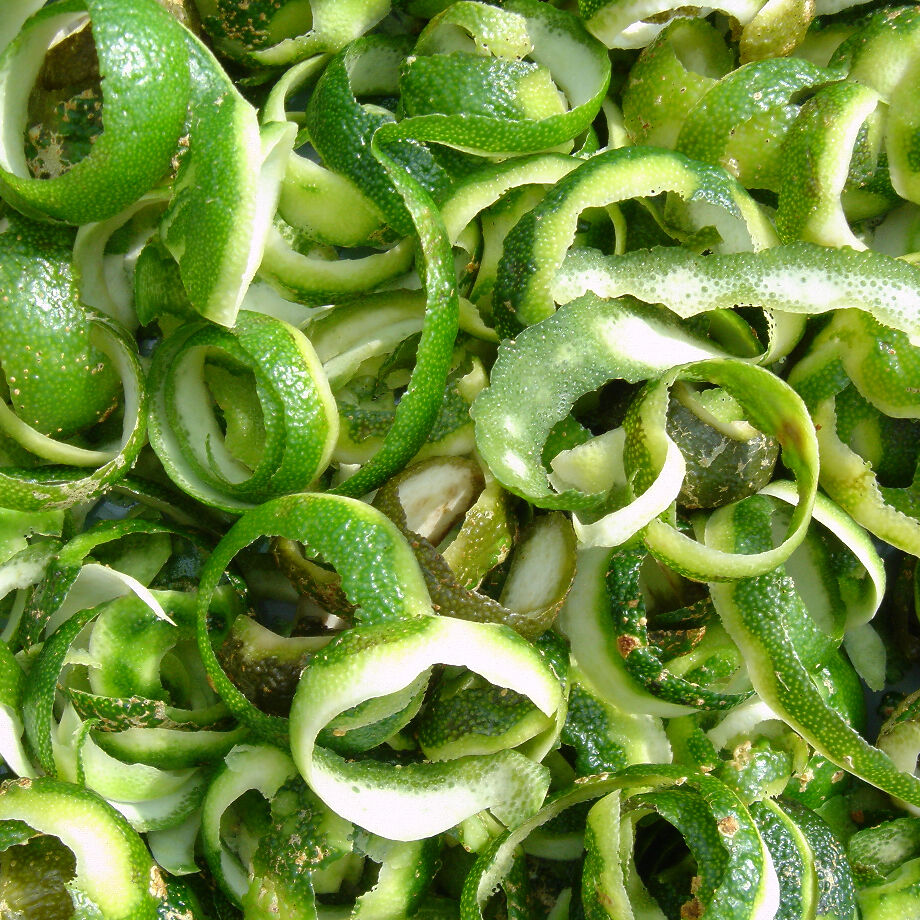 6374b61cf519732a37cca15f