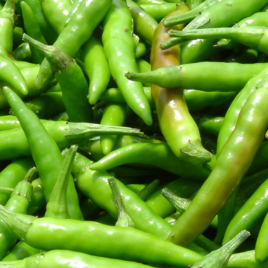 6374b61cf519732a37cca15f