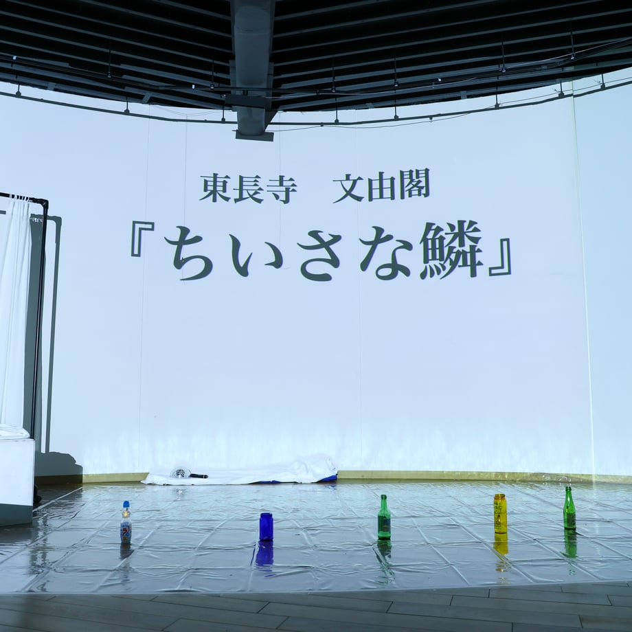 676fb418fc29e8268c9c6cb3
