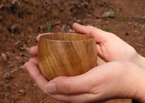 クルミ-3