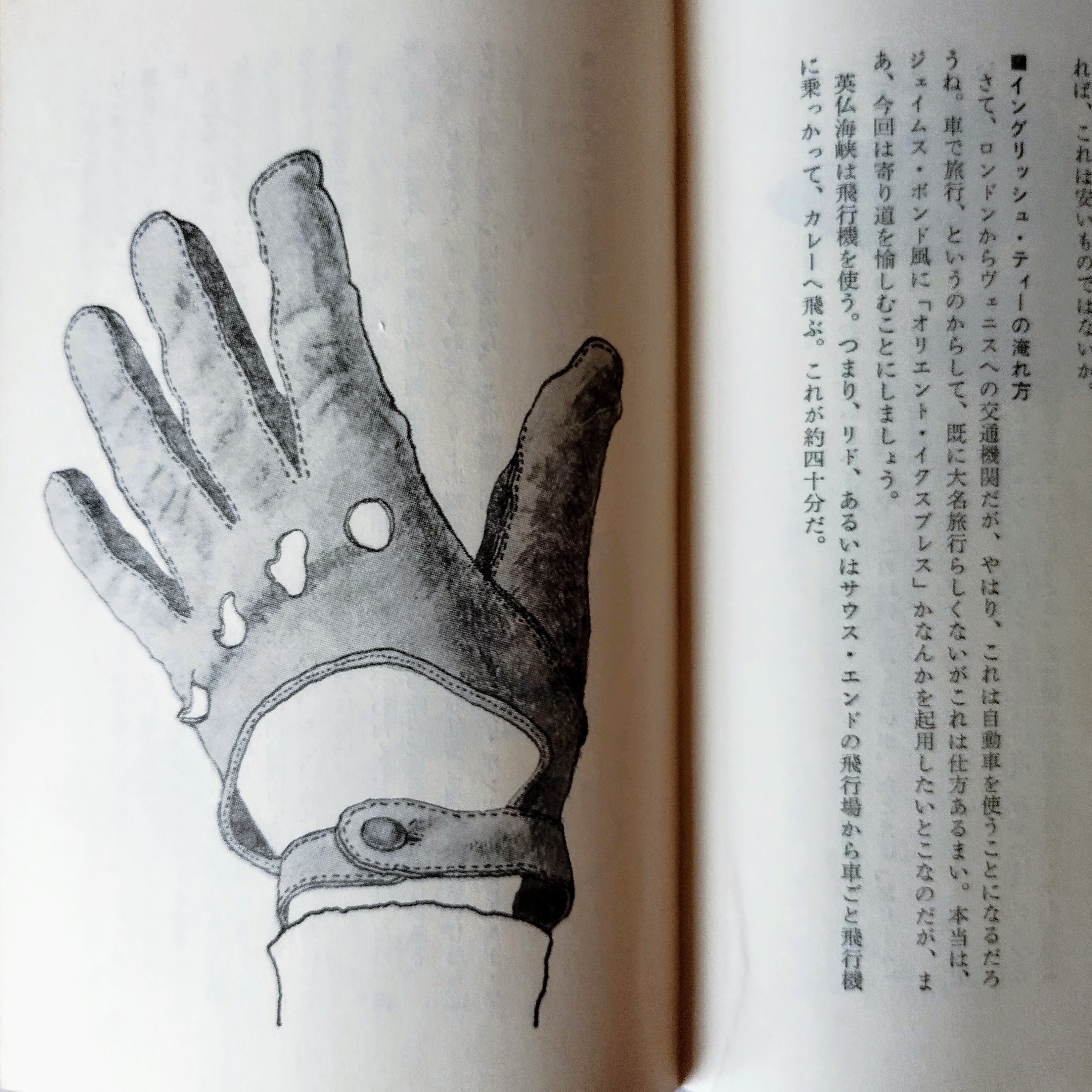ヨーロッパ退屈日記】 伊丹十三 ネット時代あえて所有する喜びに浸る