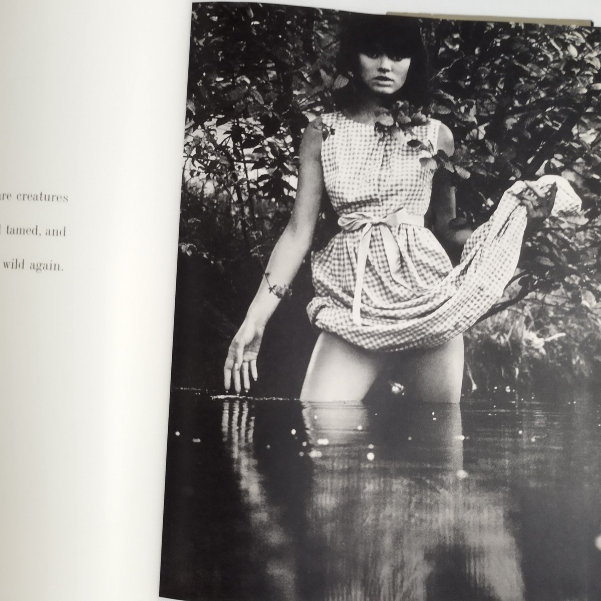 『Mirror of Venus by Wingate Paine』写真集を超え永遠に持ってい 『Mirror of Venus by Wingate Paine』写真集を超え永遠に持ってい