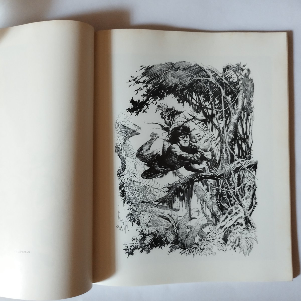 THE FANTASTIC ART OF FRANK FRAZETTA』 フラゼッタ筋肉美の