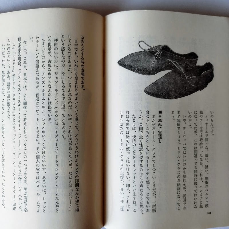 ヨーロッパ退屈日記】 伊丹十三 ネット時代あえて所有する喜びに浸る