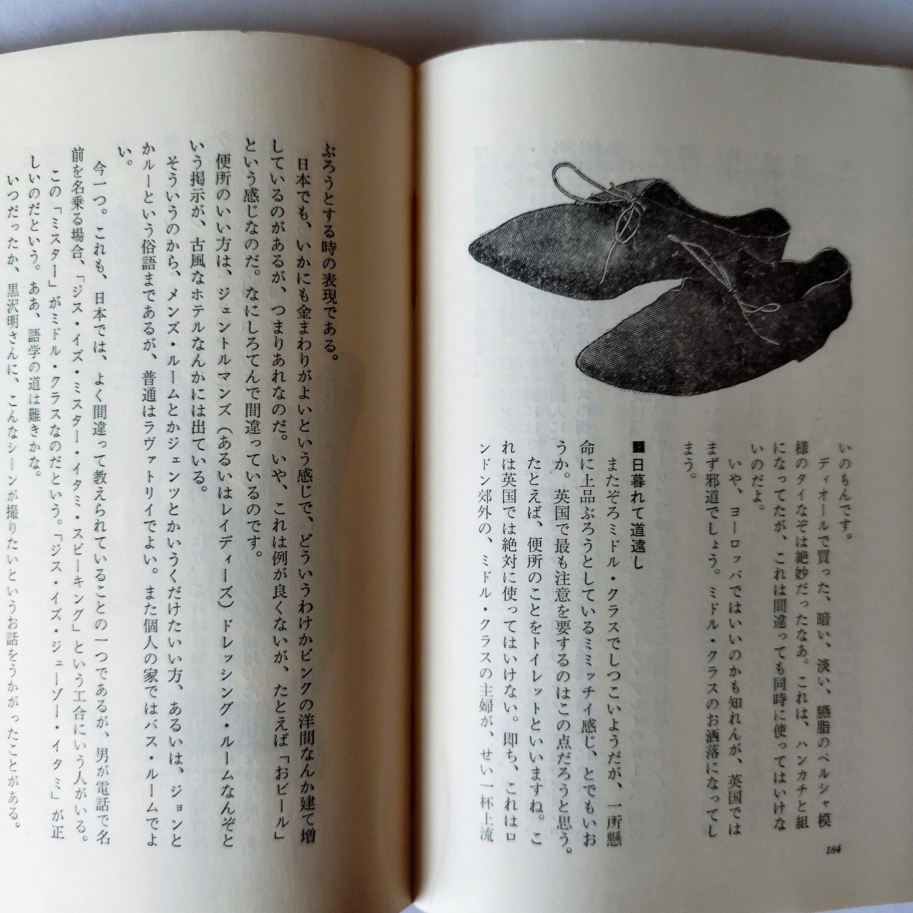 ヨーロッパ退屈日記】 伊丹十三 ネット時代あえて所有する喜びに浸る