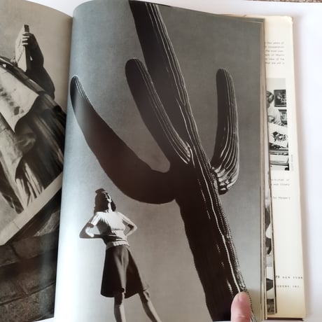 『STYLE IN MOTION』MUNKACSI　今に通じるファッション写真の改革！