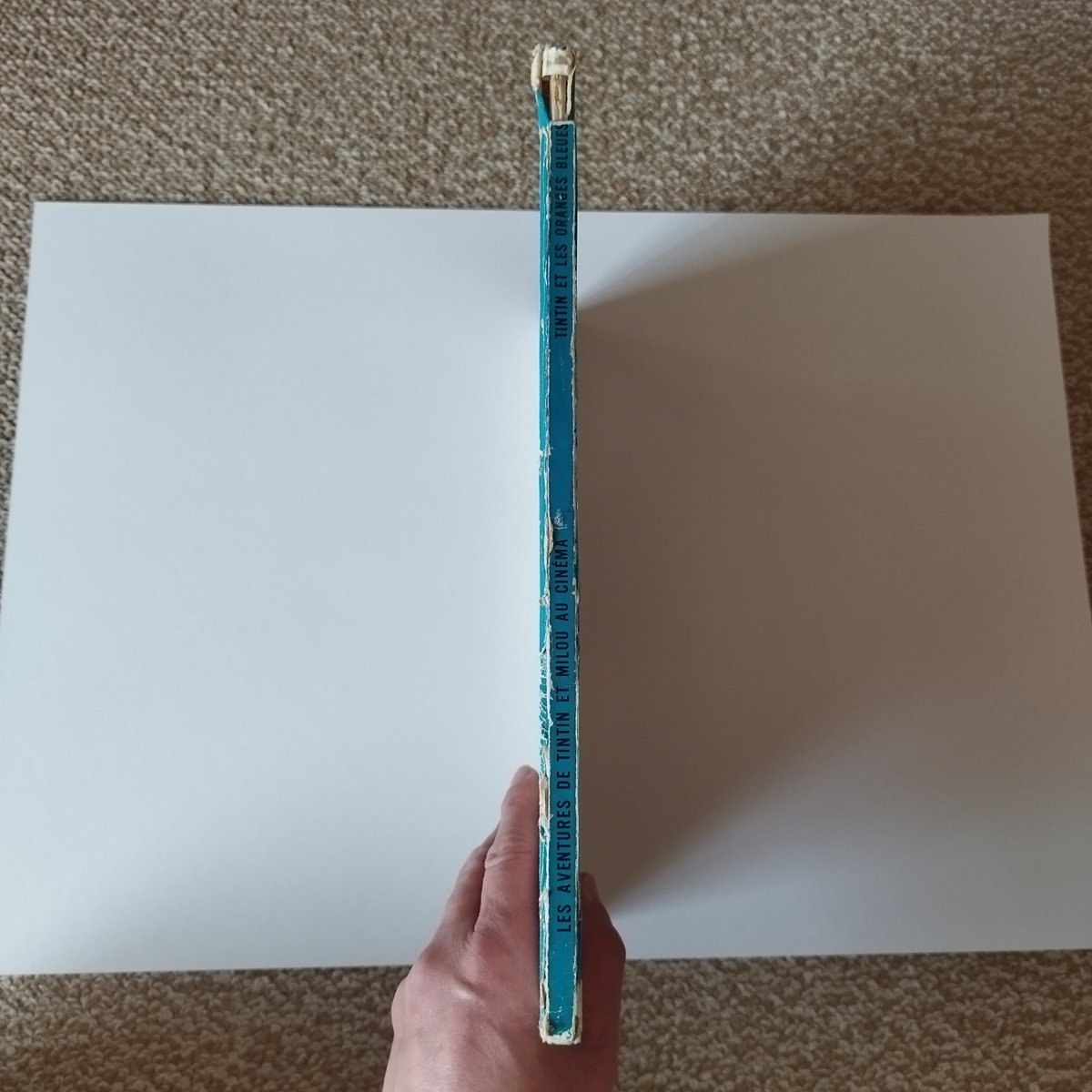 tin tin et les oranges bleues』タンタンと青いオレンジ・実写絵本