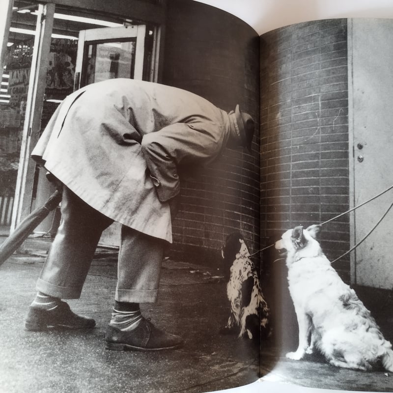 Tati』Marc Dondey タチその深淵なる世界そのガイド ハードカヴァー版