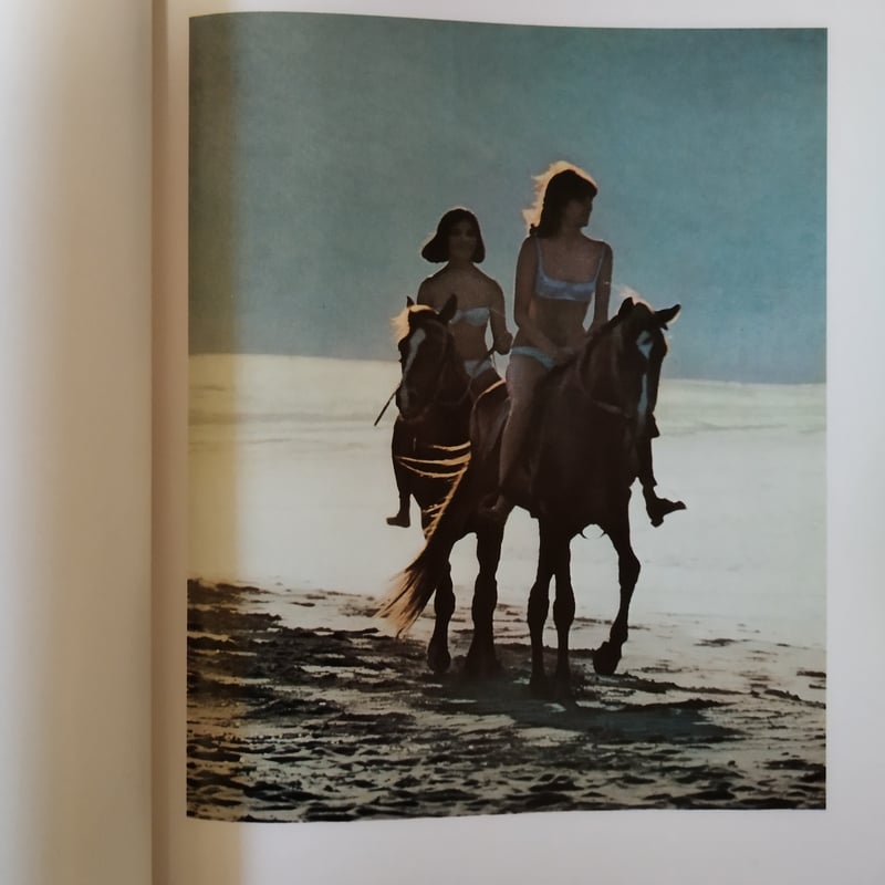 PIRELLI CALENDAR BOOK』序文・デビット・ニーブン エロテックフォトと