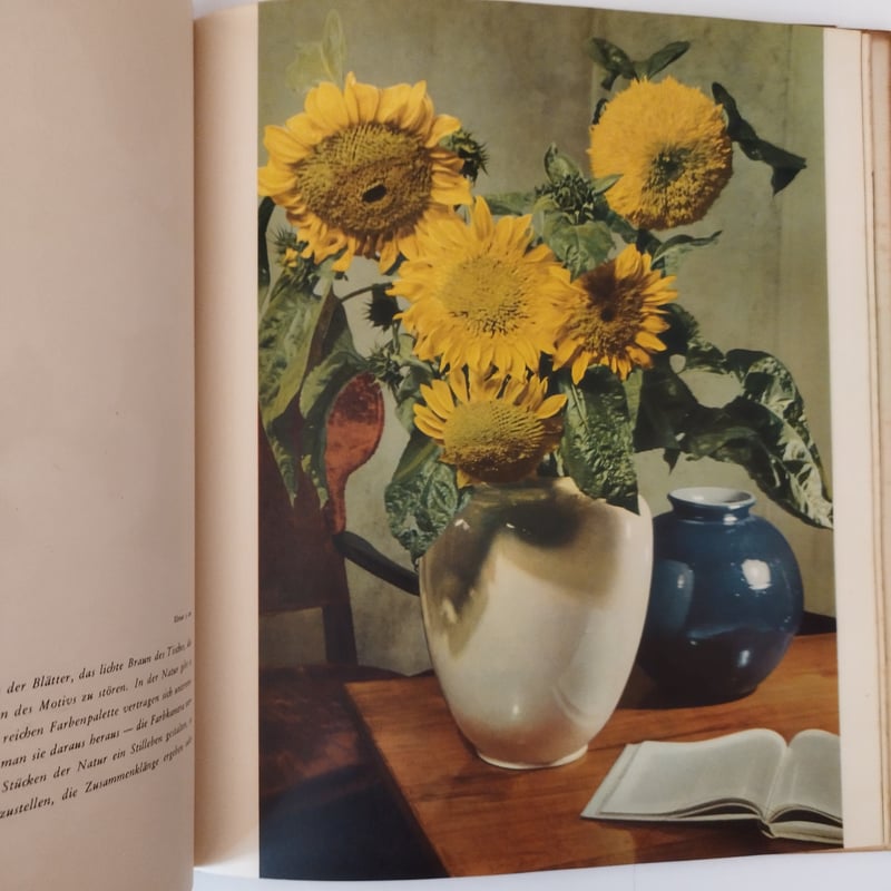 値下げ　ライカ冩眞の完成パウル ヴォルフ写真集古書 パウル・ヴォルフ傑作寫眞集（傑作写真集）／Psul Wolff | mondo